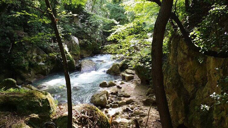 4k水自然河流小溪森林溪流户外风景
