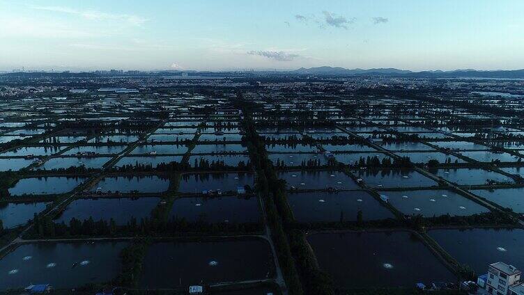 航拍鱼塘傍晚全景