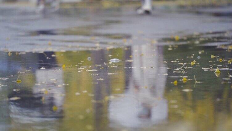 雨天水滴落叶脚步倒影在积水中伤感素材