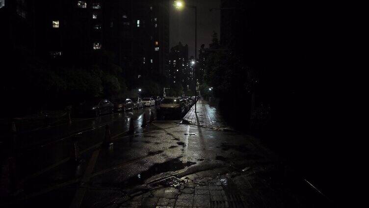 夜晚城市雨中灯光绿枝