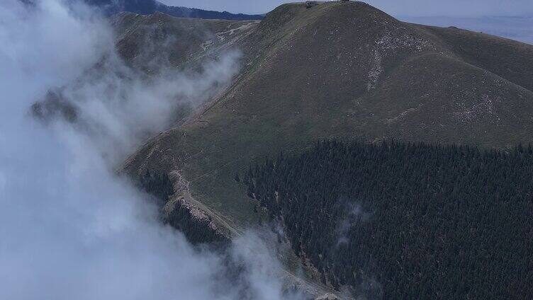 云雾缭绕 云雾 森林 贺兰山 山中云海