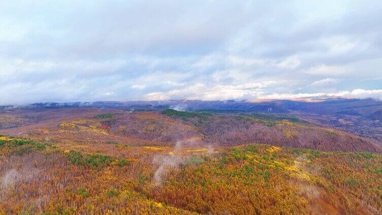 航拍大兴安岭秋季山林