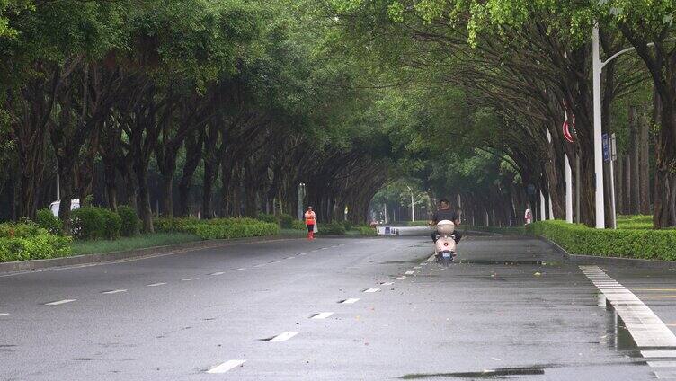 雨天树荫湿漉漉马路行驶车辆南宁荔滨大道南