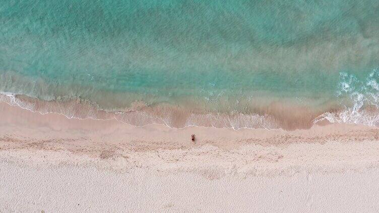 4K海浪大海浪花