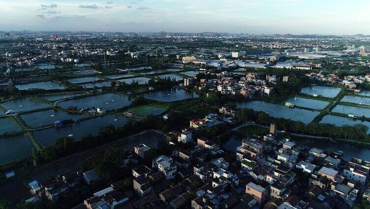 航拍鱼塘傍晚全景