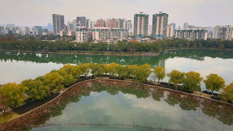 航拍年嘉湖中观光林荫道风景