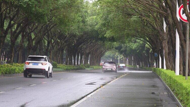 雨天树荫湿漉漉马路行驶车辆南宁荔滨大道南