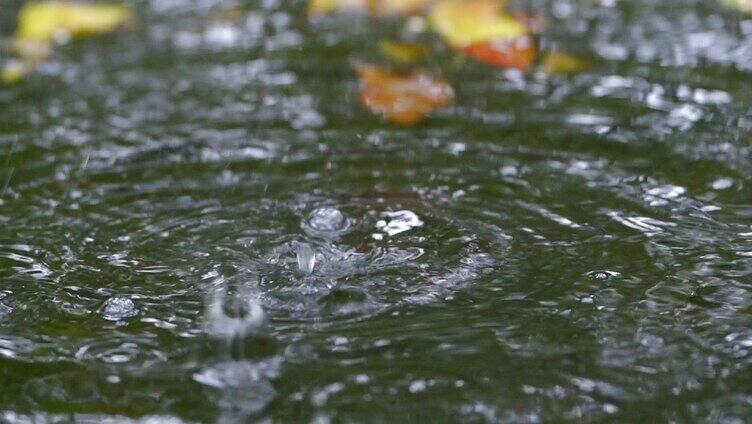 下雨雨天素材合集