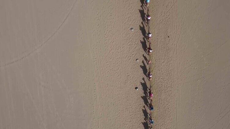 敦煌沙漠航拍骆驼队穿越沙漠