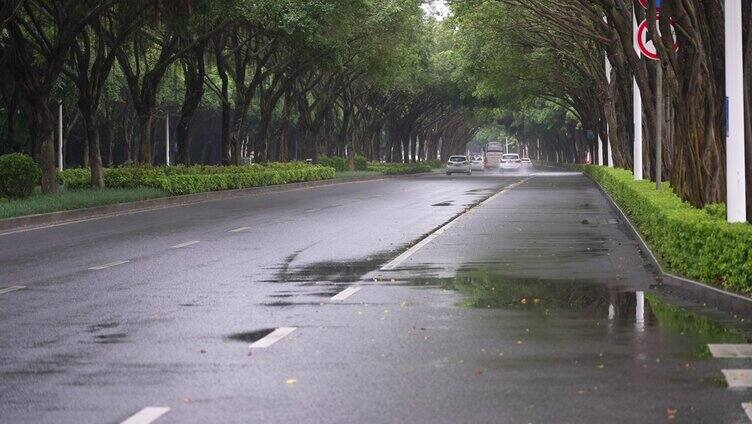 雨天树荫湿漉漉马路行驶车辆南宁荔滨大道南