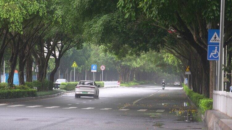 雨天树荫湿漉漉马路行驶车辆南宁荔滨大道南