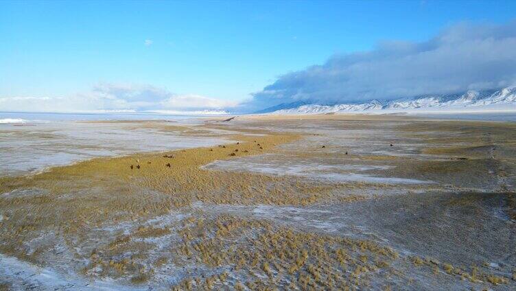 新疆冬季赛里木湖