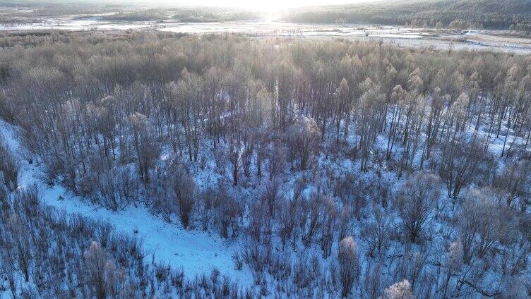 雪原阳光树林唯美雾凇