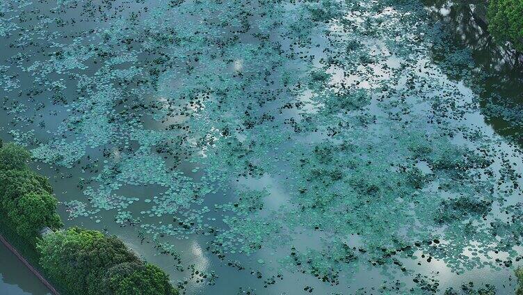 中国广东省广州市花都区炭步镇塱头古村