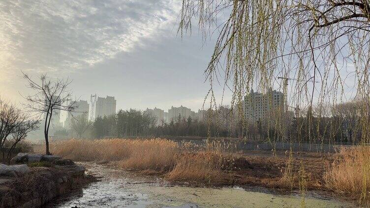 湖面微风柳树天空