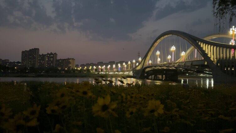 夜晚的桥梁花海