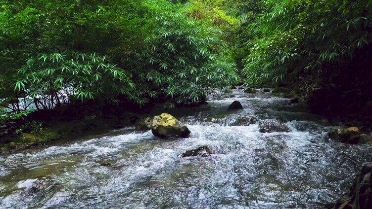 4K溪流水流水河流树木大自然
