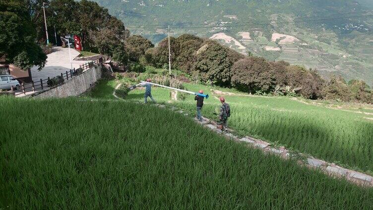 乡村振兴灯光亮化工程云南山村路灯安装