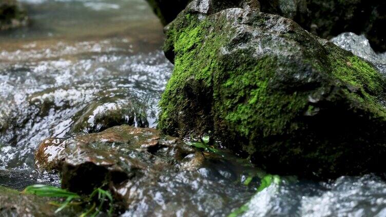 山涧岩石苔藓溪流流水升格