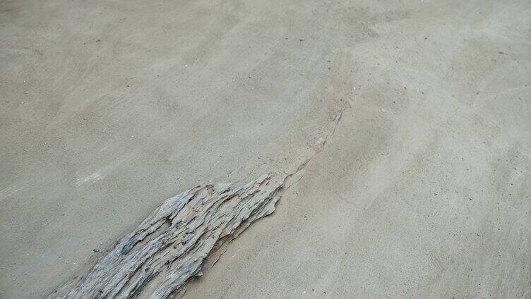 成都金沙遗址博物馆考古坑枯木立柱三星堆