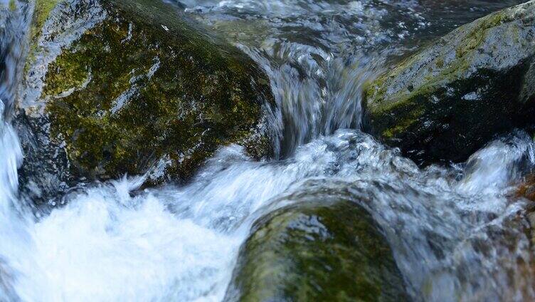 4K溪水河流自然流水大自然