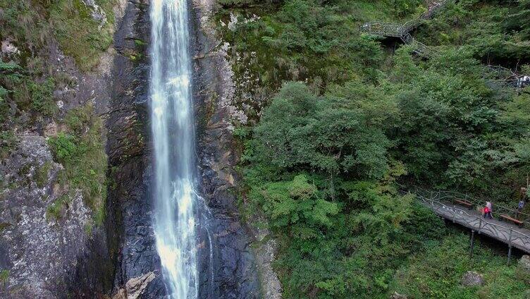 4K高山流水自然森林实拍树木