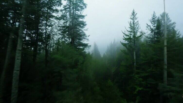穿越机穿越浓雾森林FPV穿梭机