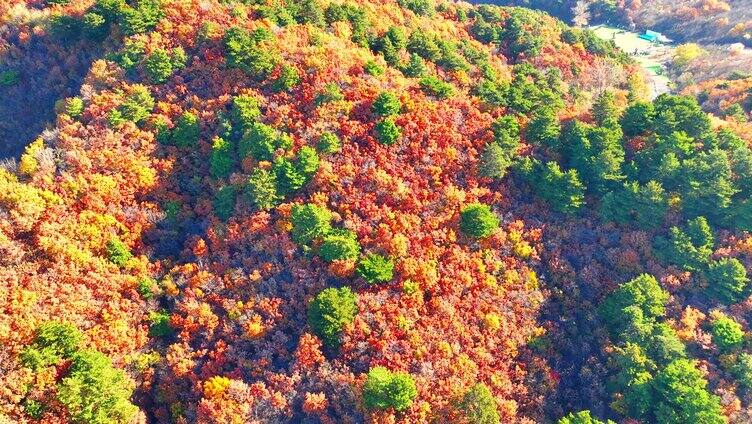 航拍辽宁千山色彩斑斓的秋景