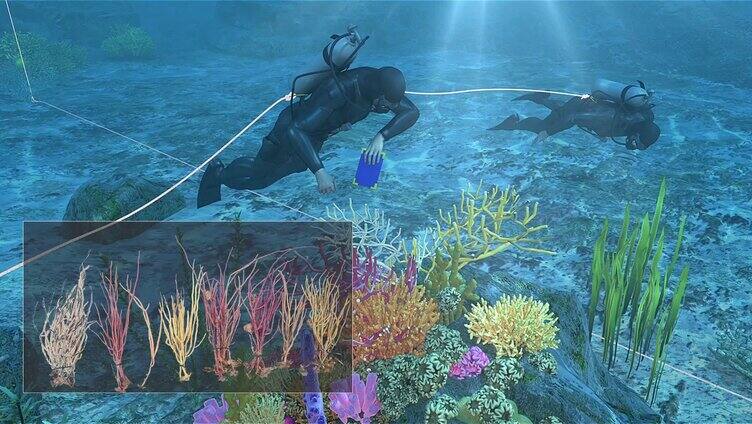 海底动画 海底 海底世界 潜水人