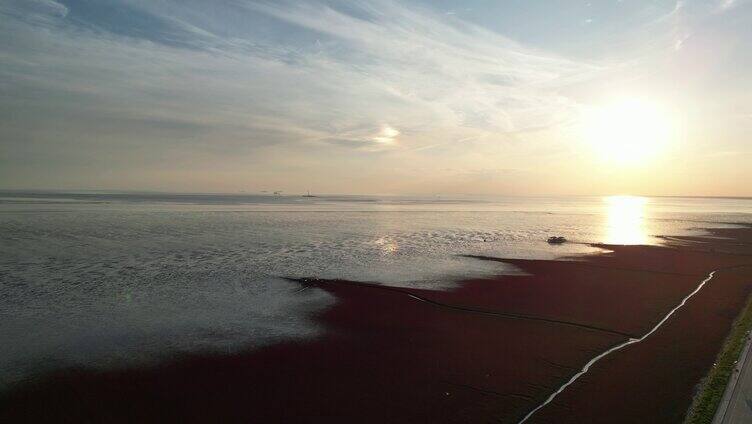 盘锦红海滩，世界上最大的红海滩