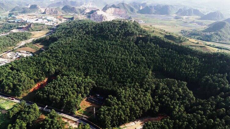 林下三七种植基地 苗圃 林地4K航拍实拍