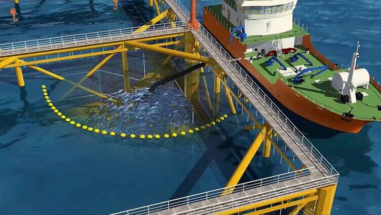 海上养殖 海洋牧场 水产养殖 三维动画