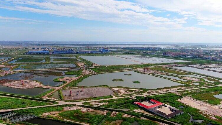 油田 渤海湾油田 湿地 抽油机 磕头机 