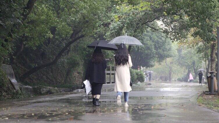 公园雨中时尚美女打伞的背影