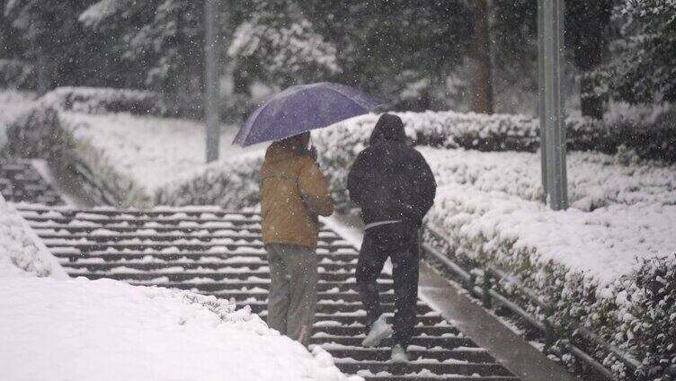 公园里下雪拍照雪景