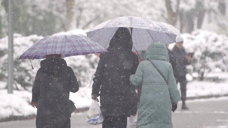 打伞赏雪的路人行人背影