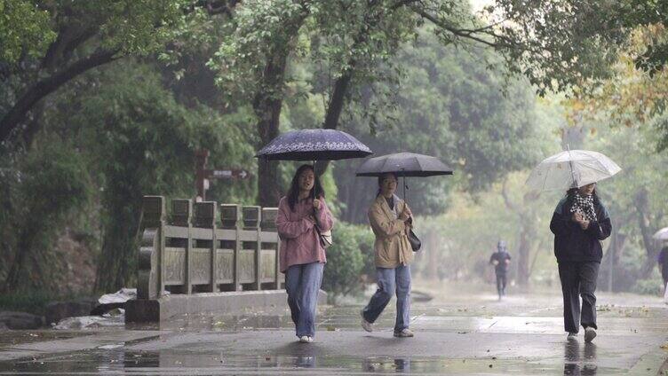 公园里雨中散步的行人