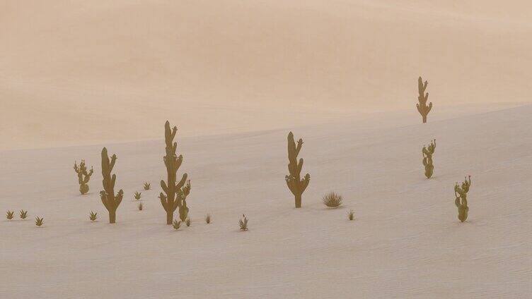 荒凉沙漠戈壁清晨日出延时