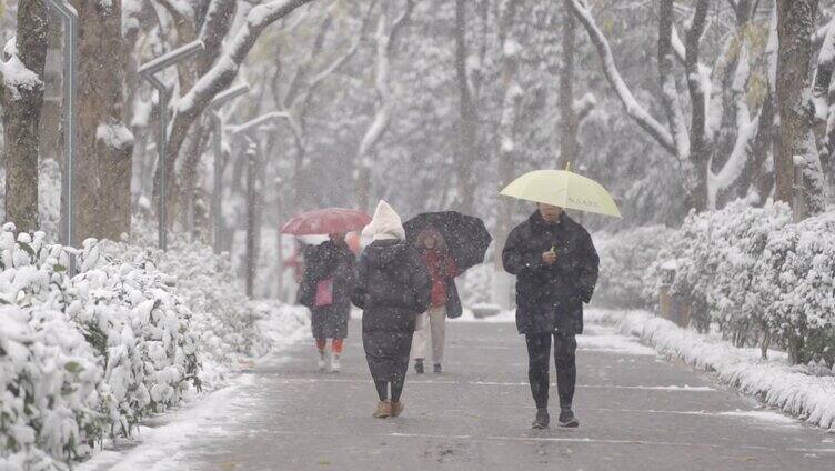 下大雪公园里散步的行人