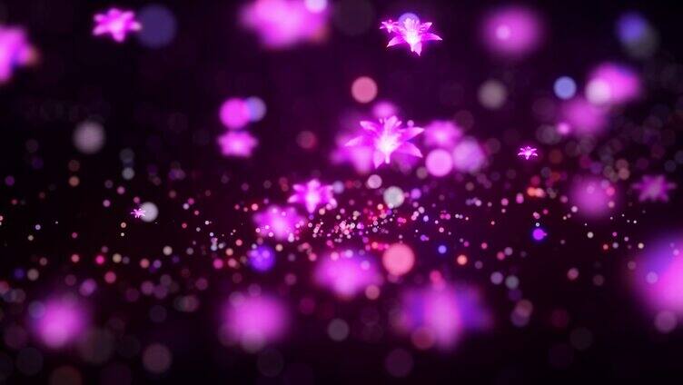 紫色花朵粒子上升 