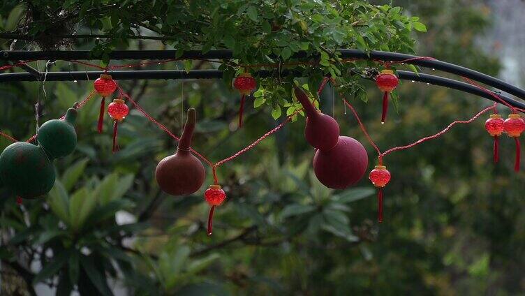 唯美的花花实拍