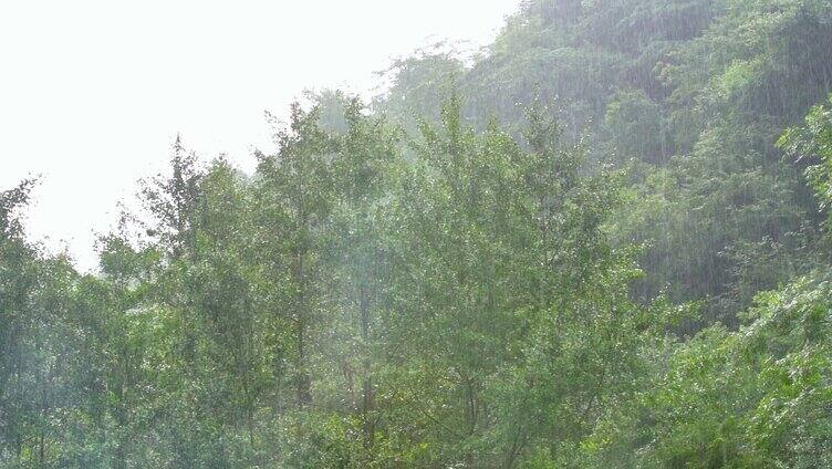 大自然空镜头 下雨天 雨水惊蛰谷雨清明