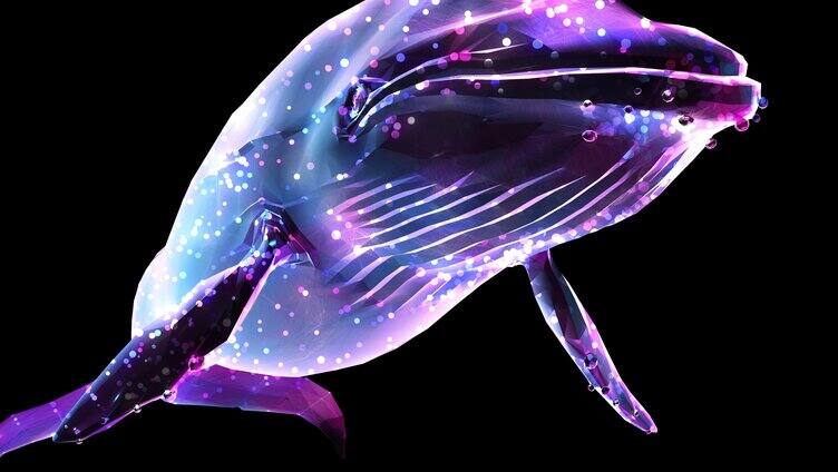 全息粒子鲸鱼plexus