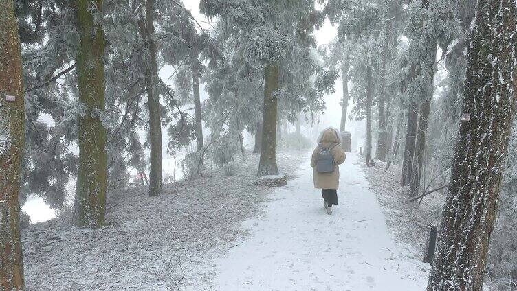 4K行走在庐山景区树林雪地里的女生