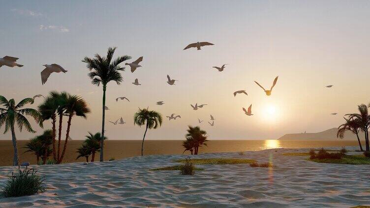 航拍沙滩上的海鸥群自由飞翔