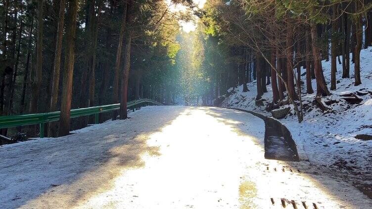 4K冬天旅游庐山景区山路飘雪中步行游客