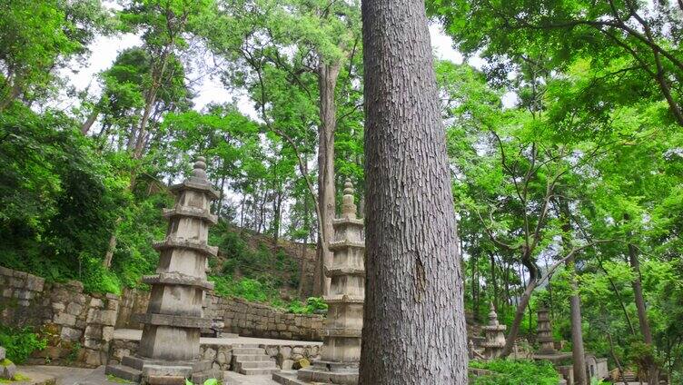 贵州黔灵山弘福寺祖师爷安息地