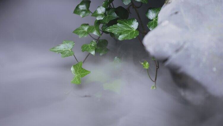 烟雾缭绕的水面绿植景观微缩景观园艺园林