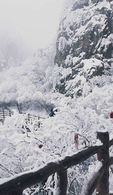 河南栾川老君山雾凇节冬日里漫山遍野的雾凇