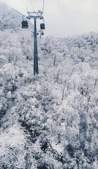 河南栾川老君山雾凇节冬日里漫山遍野的雾凇